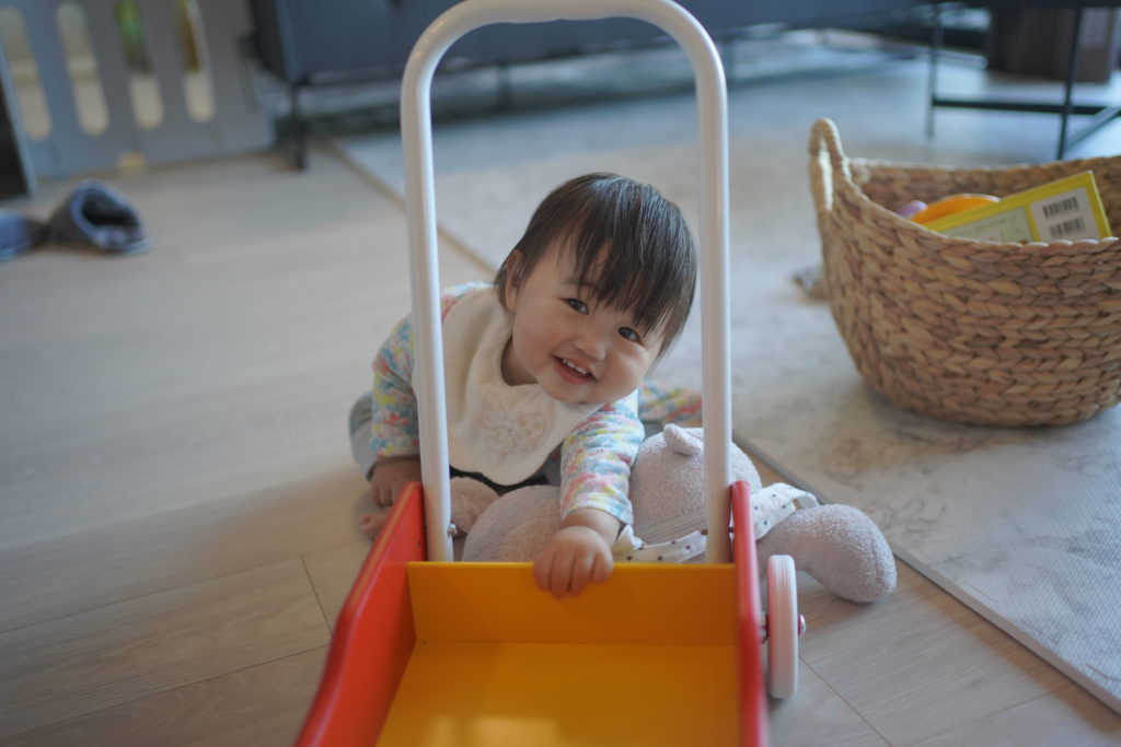 手押し車 BRIO