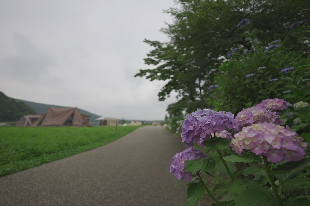 SONY SEL11 F 18レンズ作例
11mmf1.8作例