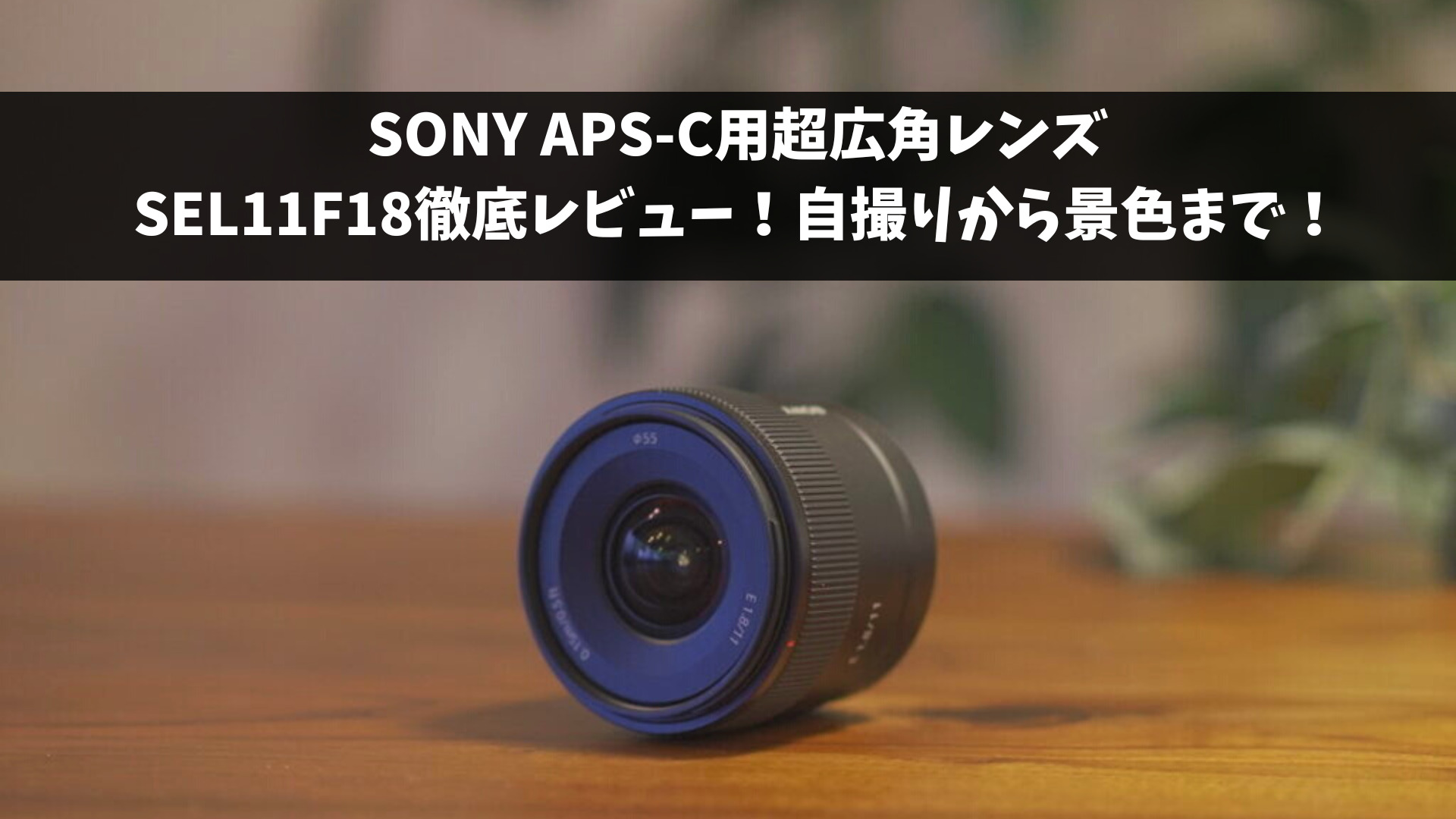 Sony 11mmf1.8レンズ徹底レビュー！「APS -C用レンズ SEL11F18」自撮り ...