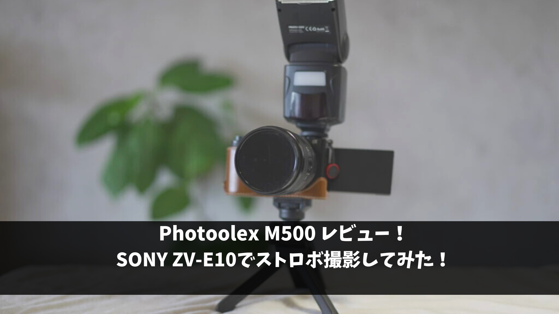 PHOTOOLEX M500ストロボレビュー ZV-E10で撮影してみた！ | ヨコハマ