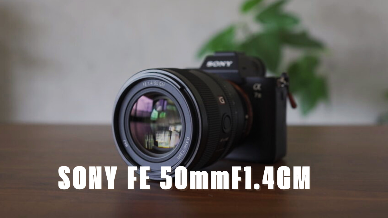 SONY FE50mmF1.4 GMレンズレビュー【55mmf1.8ZAと比較