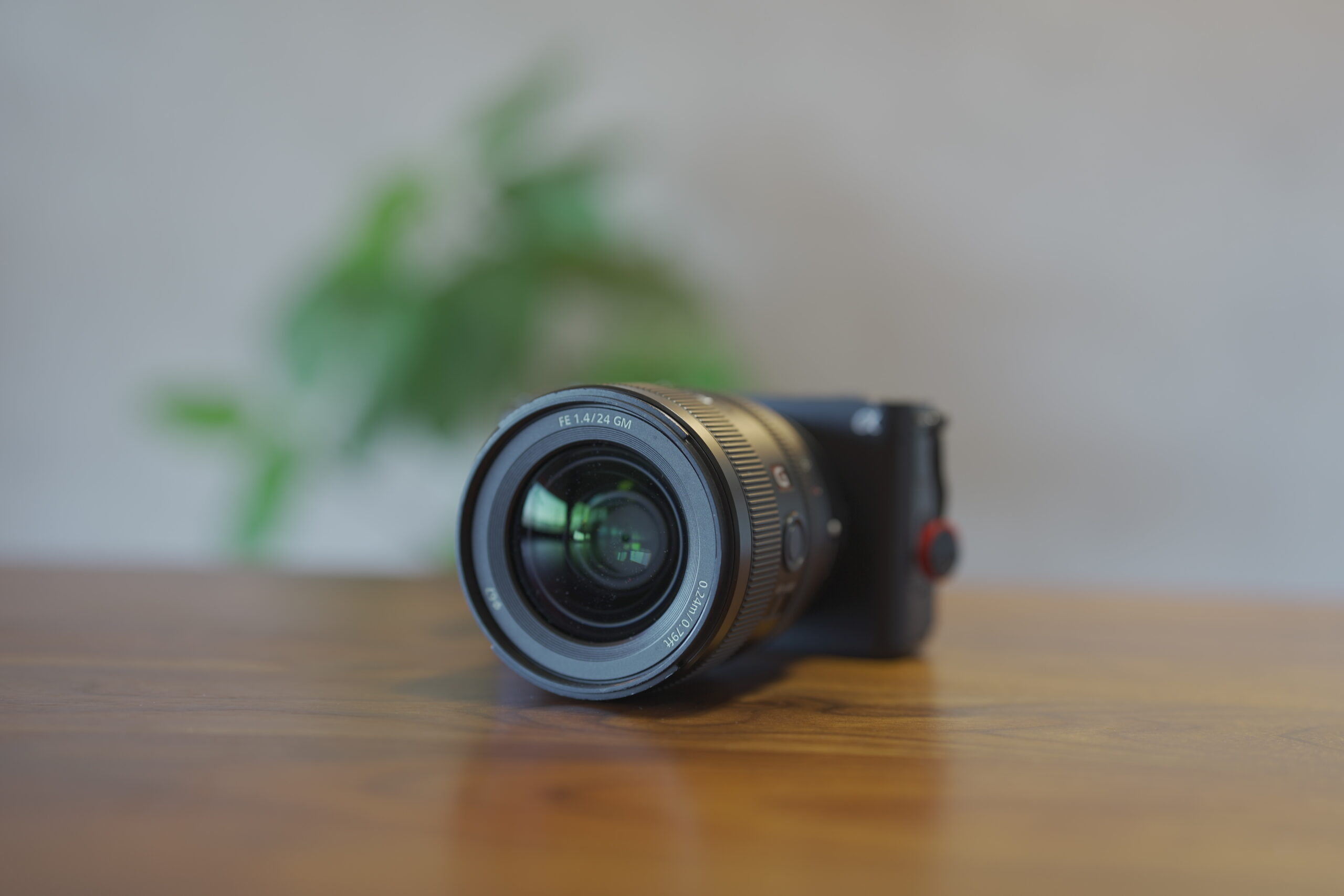 SONY FE24mm F1.4GM 単焦点レンズ FE24mmF1.4GMレンズ徹底レビュー SONYお勧め単焦点レンズ