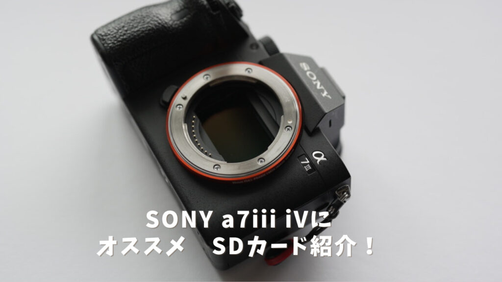 SONY a7iii/a7ivにおすすめSDカード紹介 | ヨコハマ家族の日常