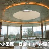 【日帰りOK】ヒルトン小田原のプール体験レポ！料金・持ち物・混雑状況を解説