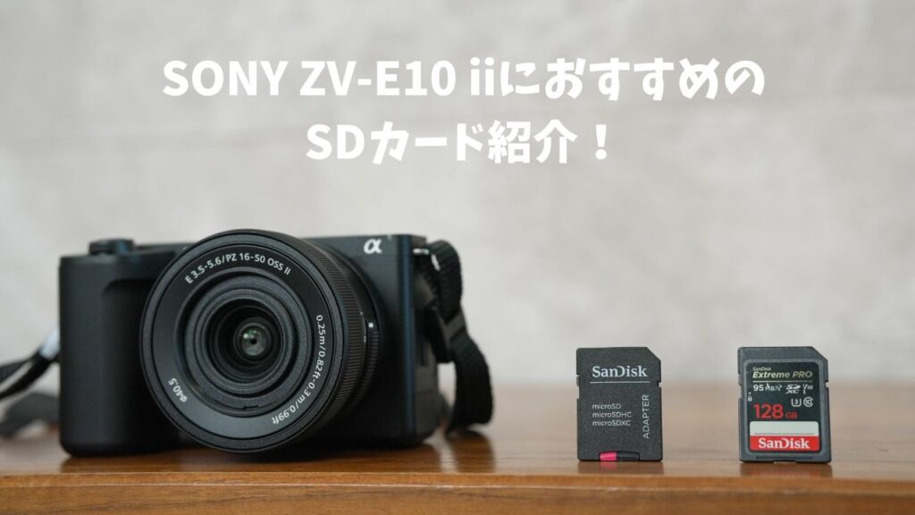 ZVE10ii におすすめのSDカードを紹介【知らないと損する